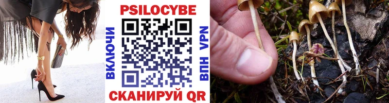 Галлюциногенные грибы GOLDEN TEACHER  Поворино 